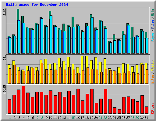 Daily usage for December 2024