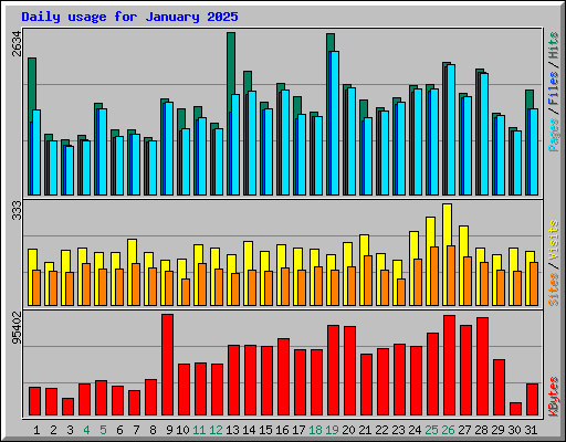 Daily usage for January 2025