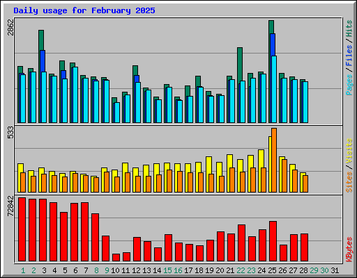 Daily usage for February 2025