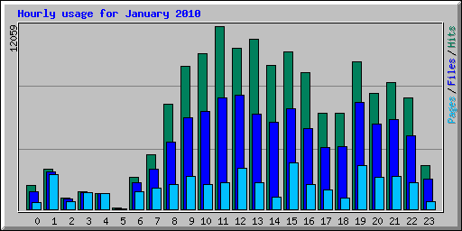 Hourly usage for January 2010