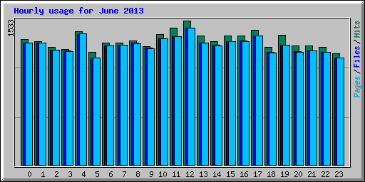 Hourly usage for June 2013