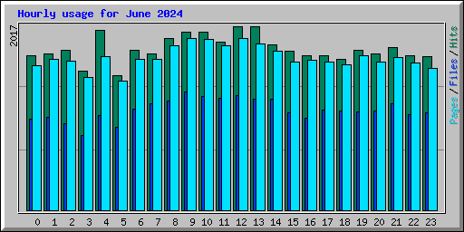 Hourly usage for June 2024