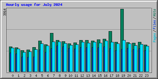 Hourly usage for July 2024