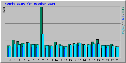 Hourly usage for October 2024