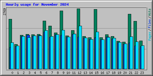Hourly usage for November 2024