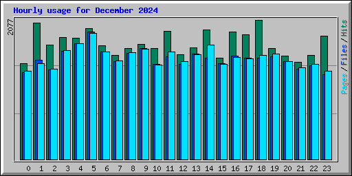 Hourly usage for December 2024