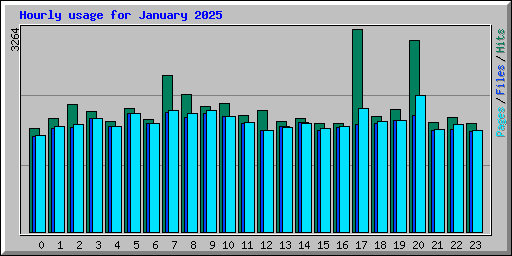 Hourly usage for January 2025