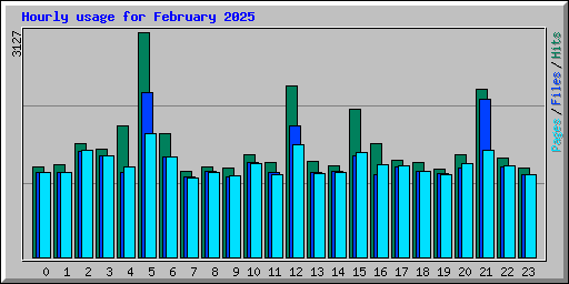 Hourly usage for February 2025