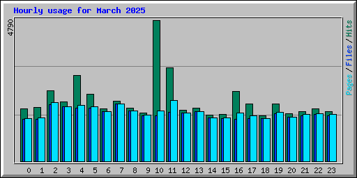 Hourly usage for March 2025