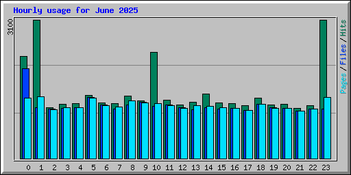 Hourly usage for June 2025