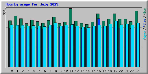 Hourly usage for July 2025