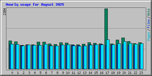 Hourly usage for August 2025