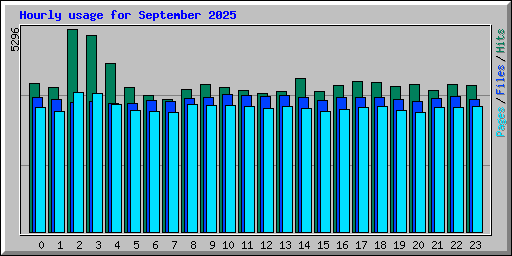 Hourly usage for September 2025