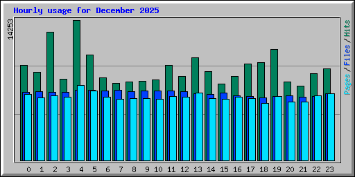 Hourly usage for December 2025