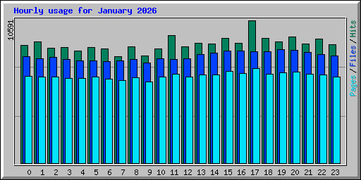 Hourly usage for January 2026