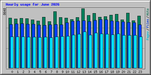 Hourly usage for June 2026